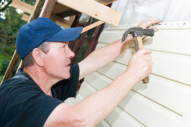 Best Insulated Siding Installation  in Sierra Vista, AZ