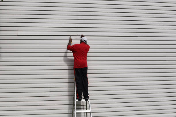 Best Vinyl Siding Installation  in Sierra Vista, AZ